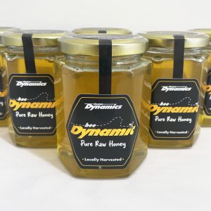 Team Dynamics Pure Raw Honey - Very Limited