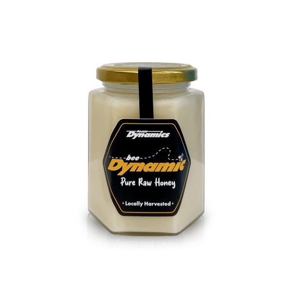 Team Dynamics Pure Raw Honey - Very Limited